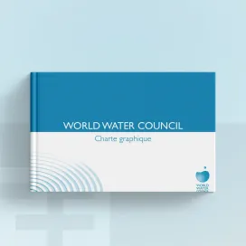 World Water Council 2011